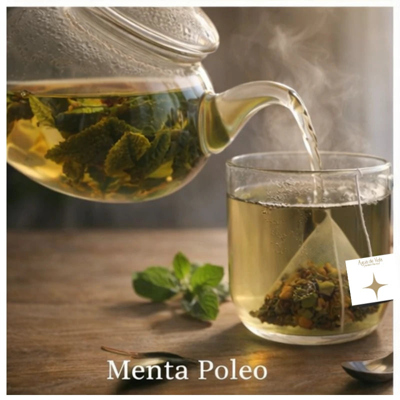 Menta poleo